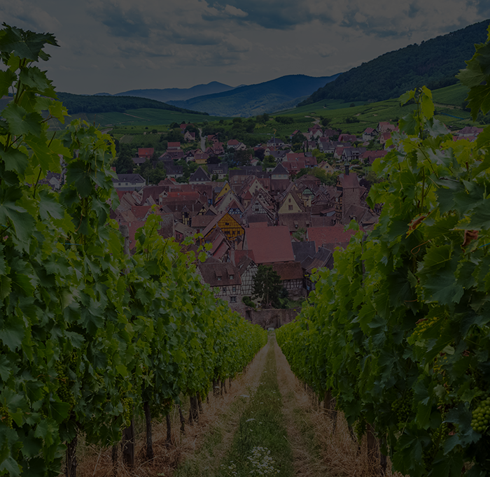 Escapade gourmande
