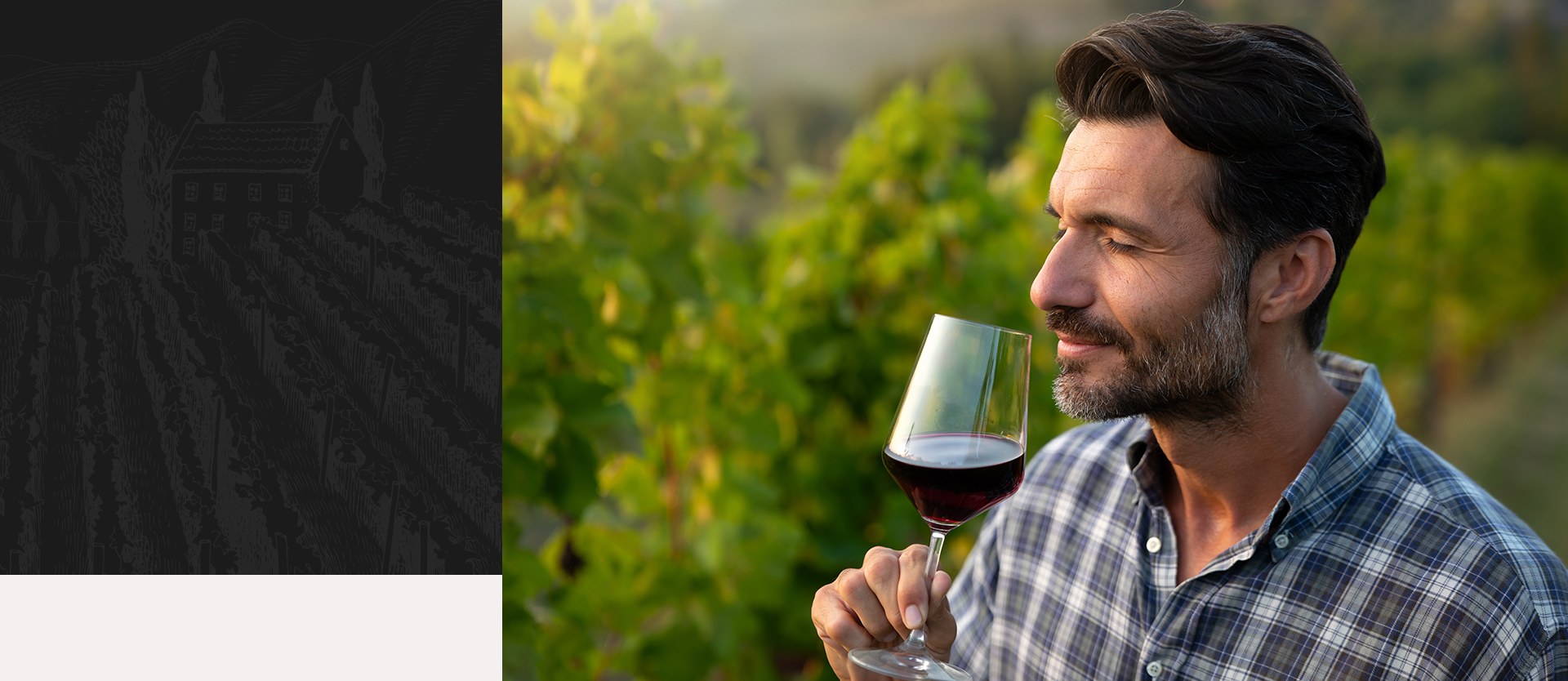 Immersion au cœur des terroirs viticoles d’exception